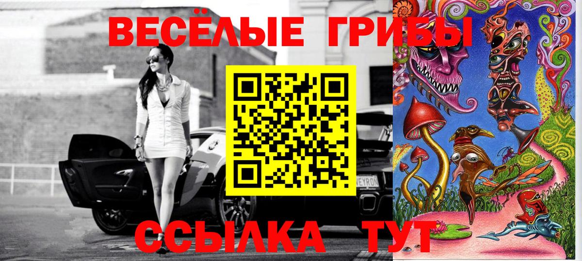 Красноярск  Галлюциногенные грибы Cubensis  Вход с VPN 